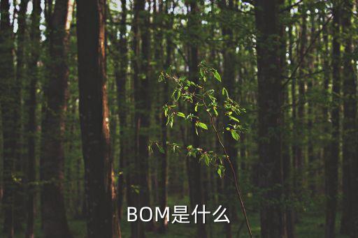 BOM是什么