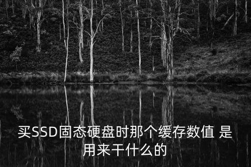 固態(tài)緩存的用處，買SSD固態(tài)硬盤時那個緩存數(shù)值 是用來干什么的