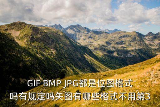 GIF BMP JPG都是位圖格式嗎有規(guī)定嗎矢圖有哪些格式不用第3