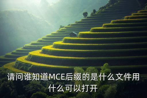 請(qǐng)問(wèn)誰(shuí)知道MCE后綴的是什么文件用什么可以打開(kāi)