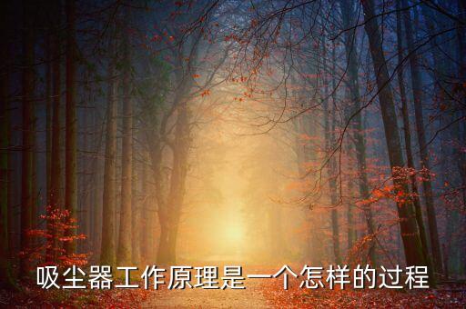 吸塵器工作原理是一個怎樣的過程