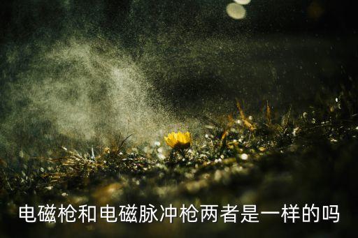 電磁槍和電磁脈沖槍兩者是一樣的嗎