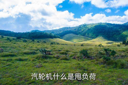 汽輪機什么是甩負荷