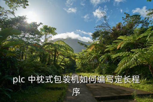plc 中枕式包裝機(jī)如何編寫定長(zhǎng)程序