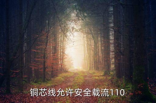 銅芯線允許安全載流110