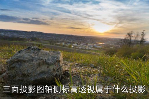 三面投影圖軸側(cè)標高透視屬于什么投影