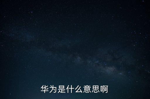 華為是什么意思啊