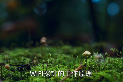 wifi探針，wfi探針采集器優(yōu)點(diǎn)和缺點(diǎn)還有沒(méi)有通過(guò)其他信號(hào)來(lái)采集手機(jī)號(hào)