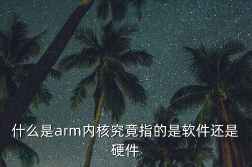 什么是arm內(nèi)核究竟指的是軟件還是硬件