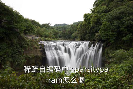 稀疏自編碼中 sparsityparam怎么調