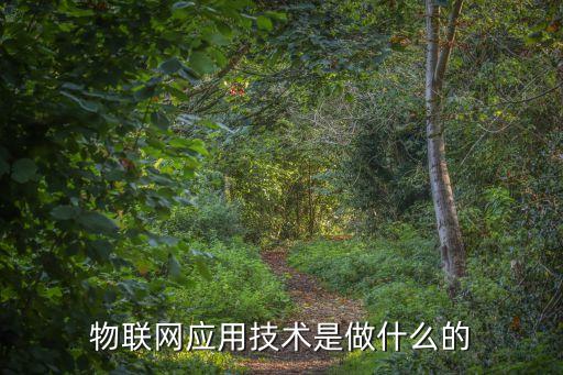 物聯(lián)網(wǎng)應(yīng)用技術(shù)是做什么的
