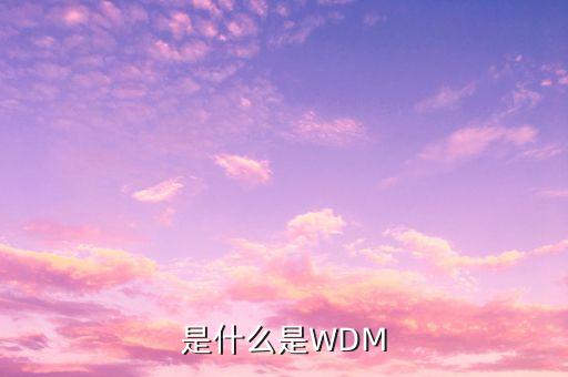 是什么是WDM