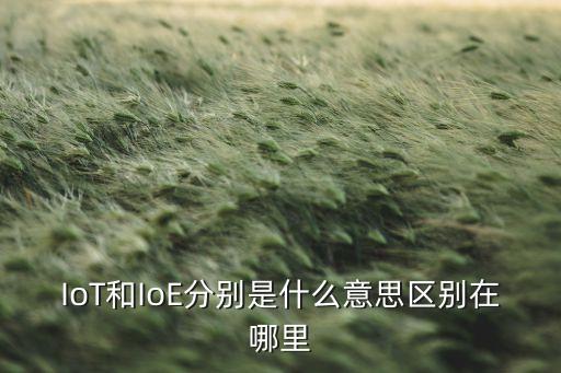 iot技術(shù)，IOT項(xiàng)目是什么意思