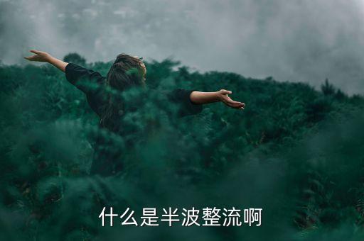半波整流，什么是半波整流啊