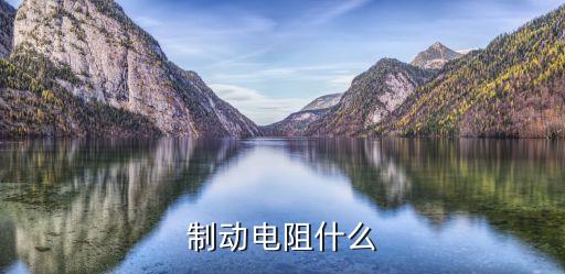 制動(dòng)電阻什么