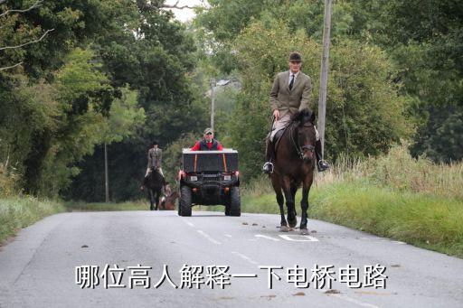 哪位高人解釋一下電橋電路