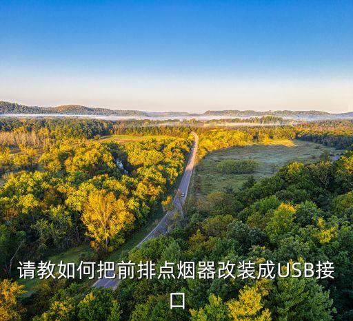 請(qǐng)教如何把前排點(diǎn)煙器改裝成USB接口