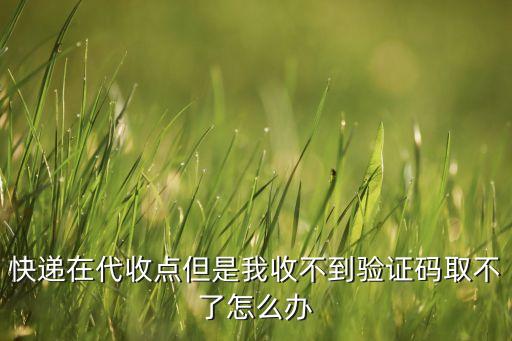 快遞在代收點(diǎn)但是我收不到驗(yàn)證碼取不了怎么辦