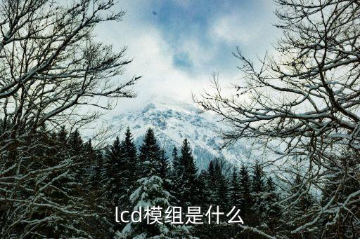 lcd模組是什么