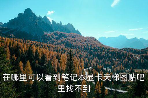 桌面顯卡天梯圖，有沒(méi)有顯卡天梯圖發(fā)一張來(lái)