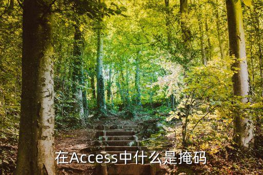 在Access中什么是掩碼