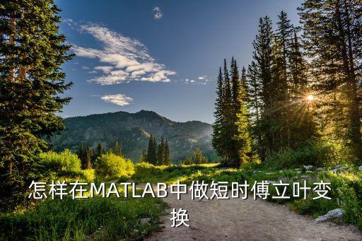stft，論文去重復(fù)率比如簡寫STFT在論文查重時(shí)會出現(xiàn)重復(fù)率可以用