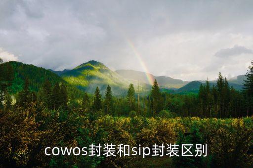 cowos，塞班是什么啊