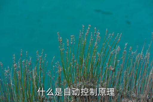什么是自動(dòng)控制原理
