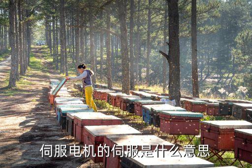 伺服電機(jī)的伺服是什么意思