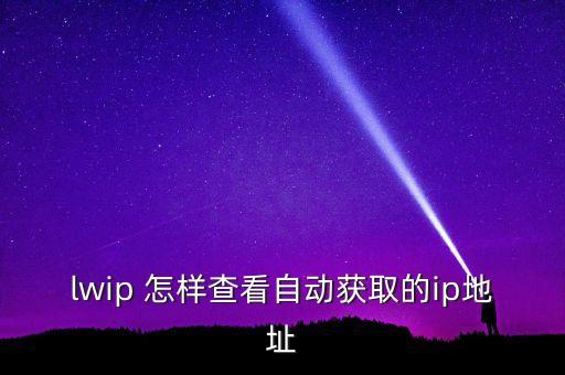 lwip 怎樣查看自動獲取的ip地址