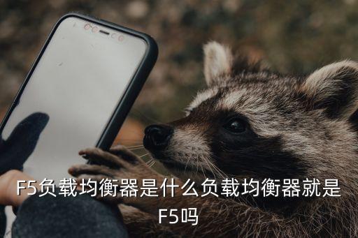F5負(fù)載均衡器是什么負(fù)載均衡器就是F5嗎