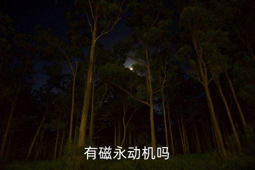 有磁永動(dòng)機(jī)嗎