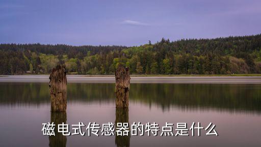 磁電式傳感器的特點是什么