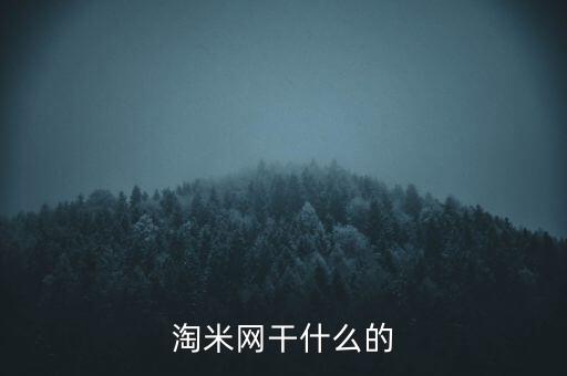 淘米網(wǎng)干什么的
