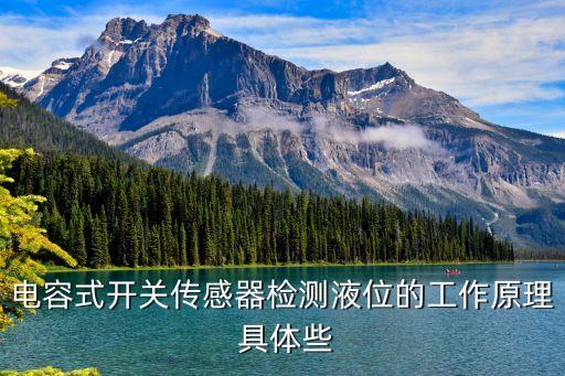 電容式液位傳感器，簡(jiǎn)述接近式電容式傳感器檢查液位的工作原理