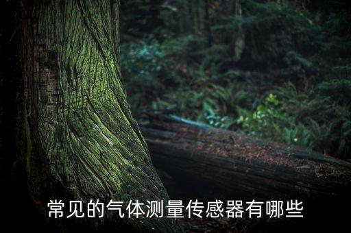 常見的氣體測量傳感器有哪些