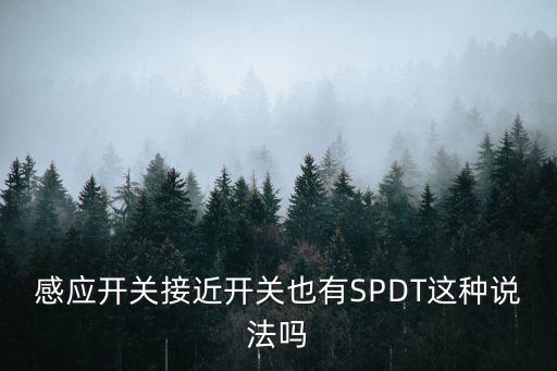 感應(yīng)開(kāi)關(guān)接近開(kāi)關(guān)也有SPDT這種說(shuō)法嗎