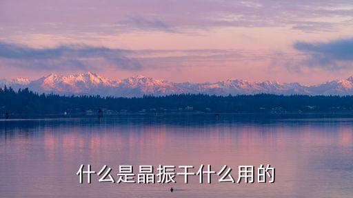 什么是晶振干什么用的