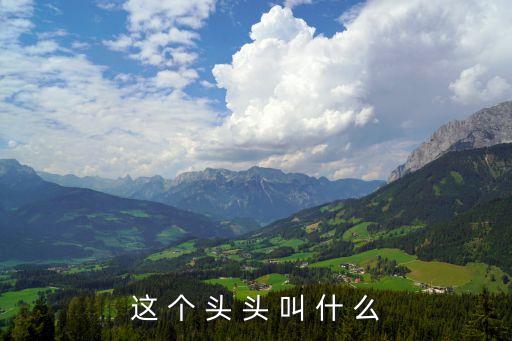 這 個(gè) 頭 頭 叫 什 么