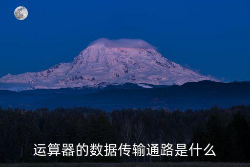 數(shù)據(jù)通路，運(yùn)算器的數(shù)據(jù)傳輸通路是什么
