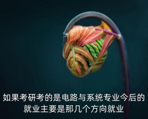 電路系統(tǒng)，橋式電路系統(tǒng)的電流流向是怎么樣的