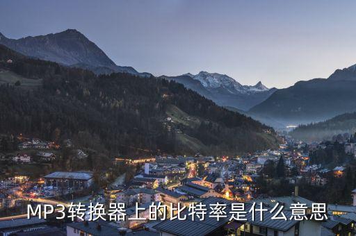 什么是比特率，BIP是什么有什么用處