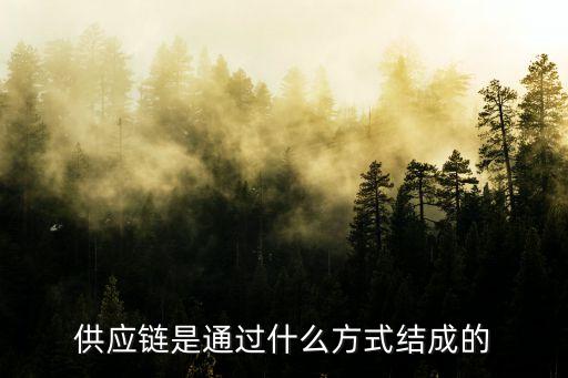 供應(yīng)鏈?zhǔn)峭ㄟ^什么方式結(jié)成的