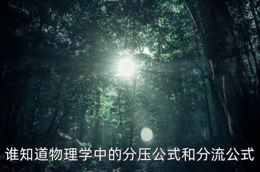 誰(shuí)知道物理學(xué)中的分壓公式和分流公式