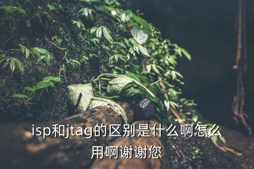 isp和jtag的區(qū)別是什么啊怎么用啊謝謝您