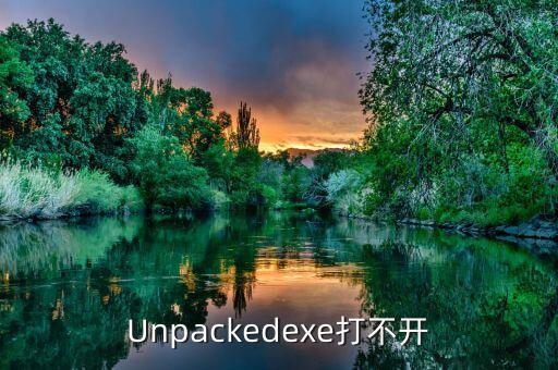 Unpackedexe打不開