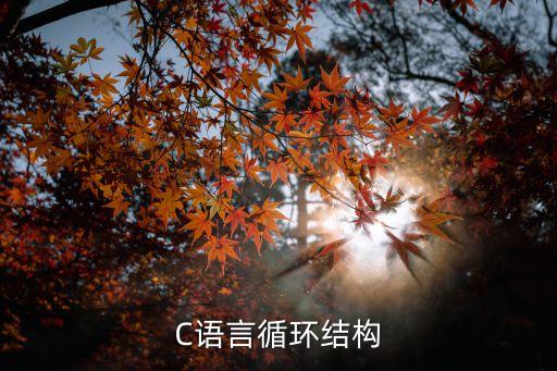 C語言循環(huán)結(jié)構(gòu)