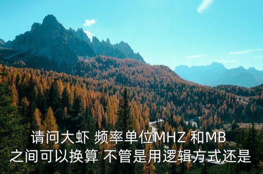 請(qǐng)問(wèn)大蝦 頻率單位MHZ 和MB 之間可以換算 不管是用邏輯方式還是