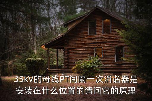 35kV的母線PT間隔一次消諧器是安裝在什么位置的請(qǐng)問它的原理