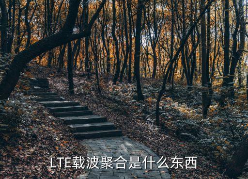 載波聚合，LTE載波聚合是什么東西